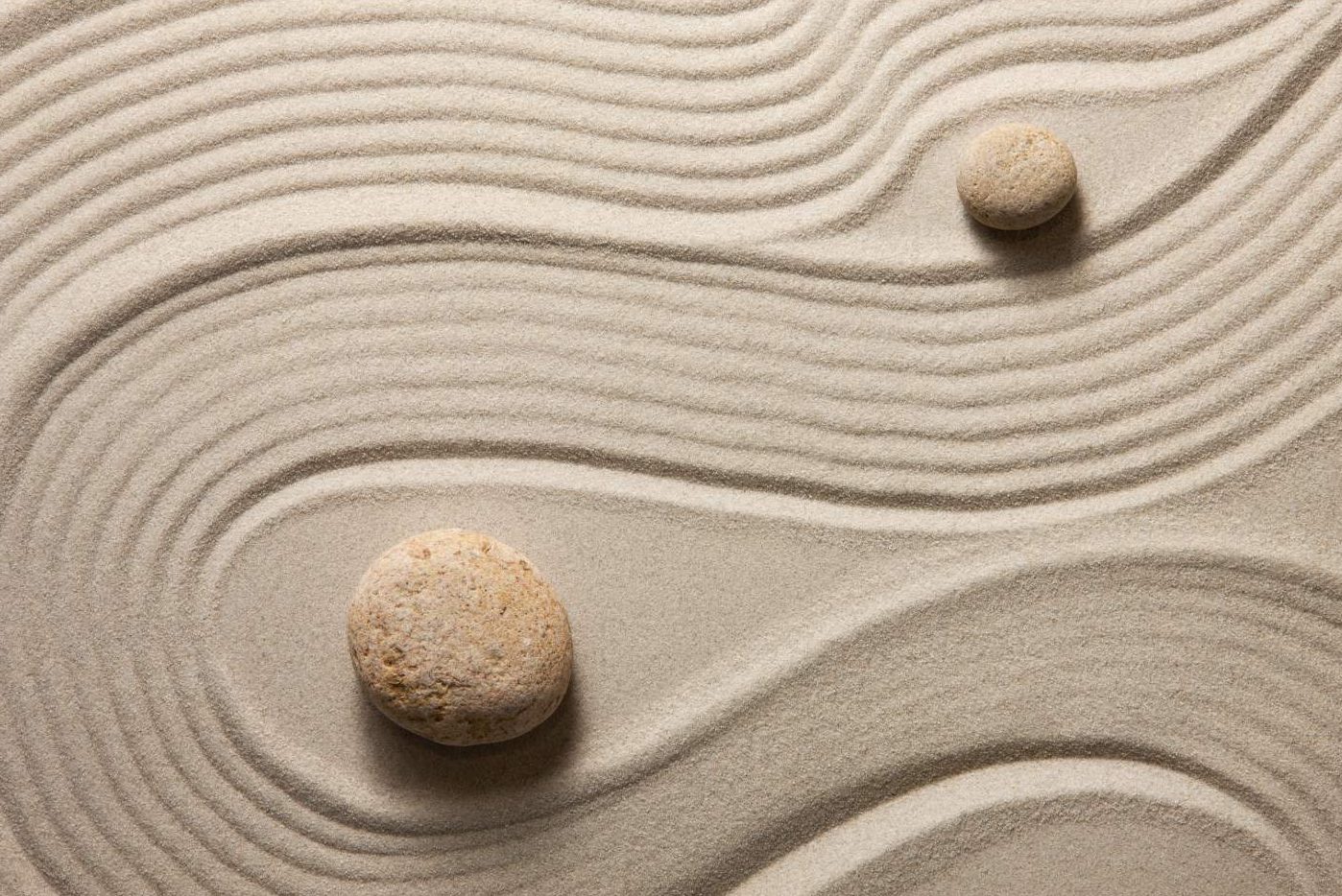 Zen Garden