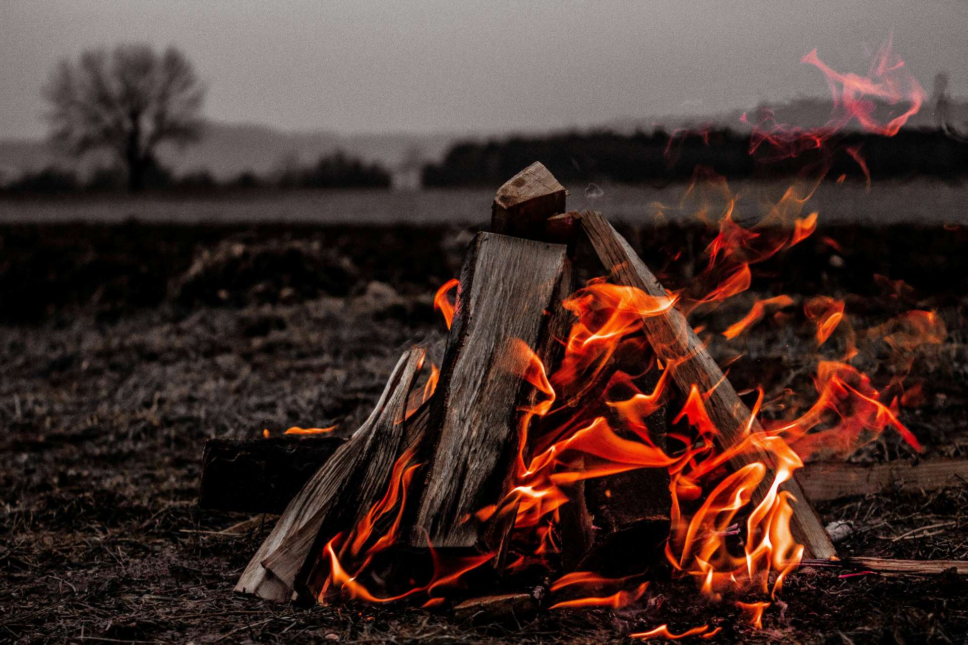 Bonfire