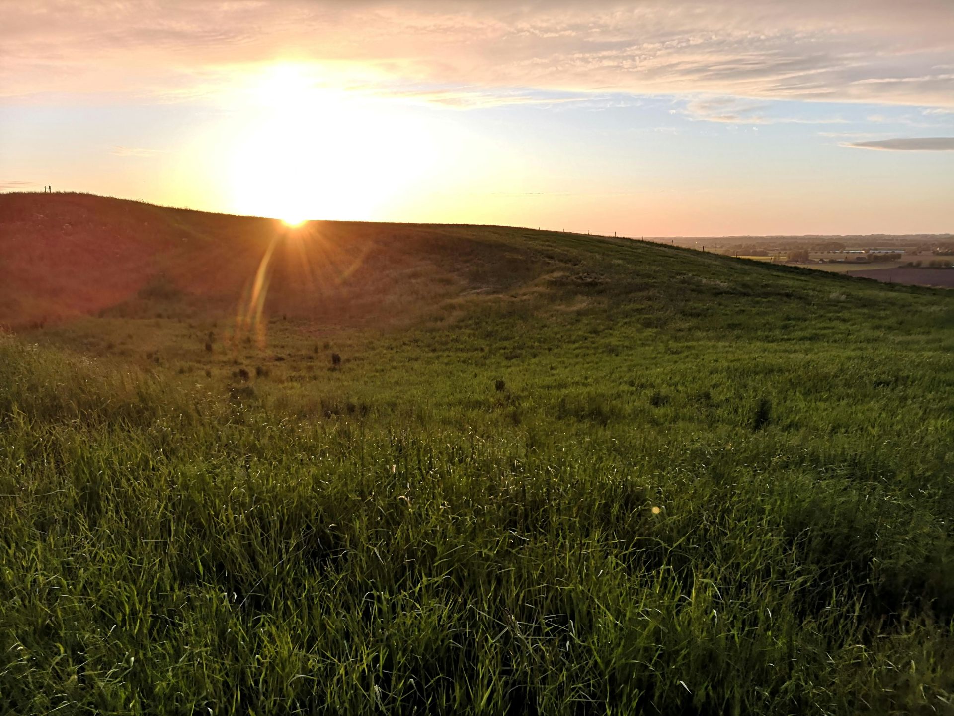Meadow at Sunrise