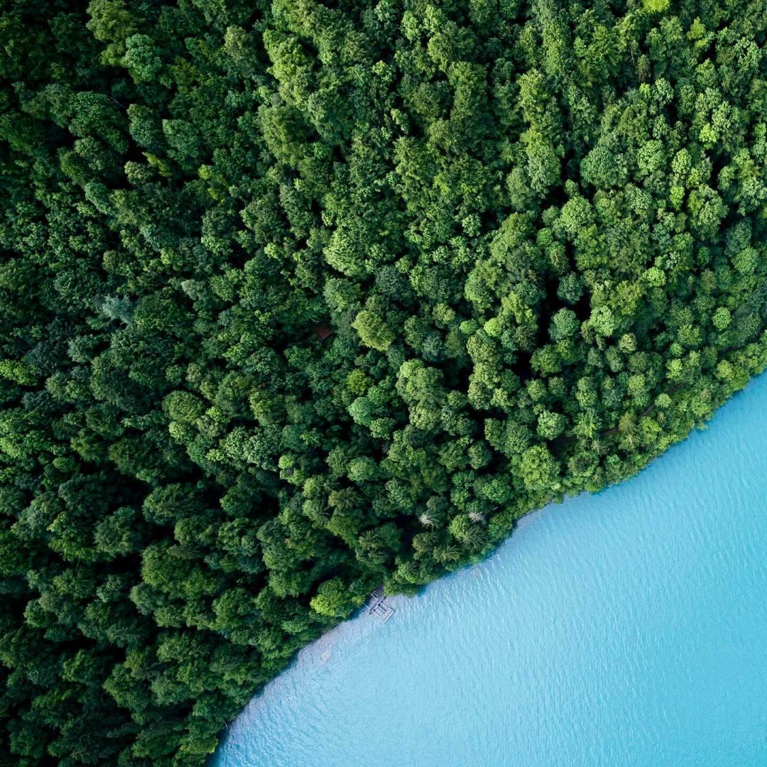 Aerial view of the mangrove meeting the water